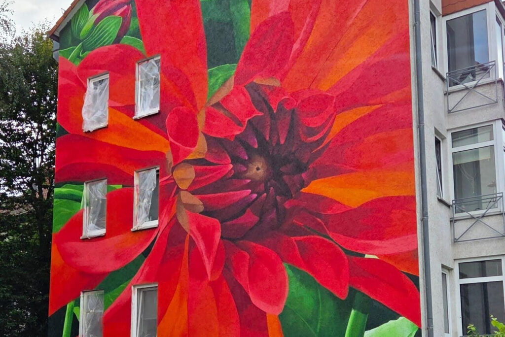 Neue Fassadenkunst im Kasseler Wesertor: Eine Dahlie für die Magazinstraße