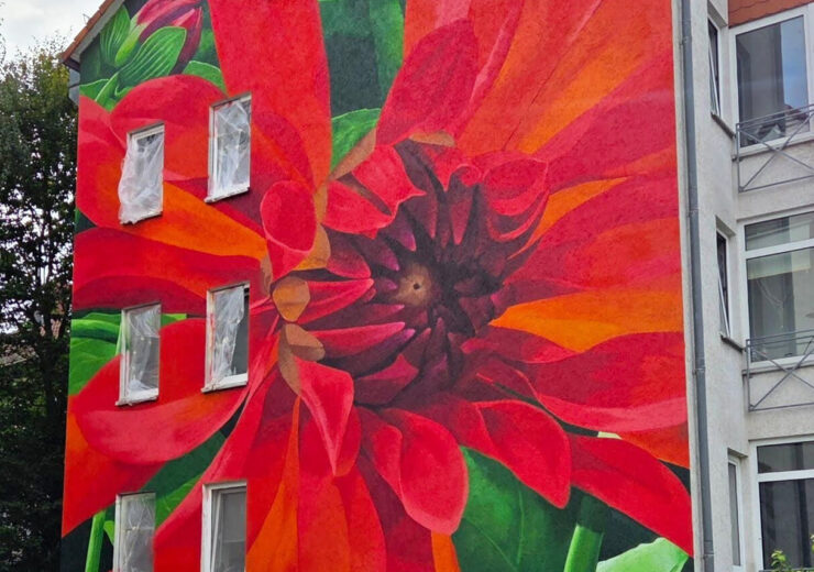 Neue Fassadenkunst im Kasseler Wesertor: Eine Dahlie für die Magazinstraße